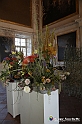 VBS_0095 - Corollaria Flower Exhibition 2022